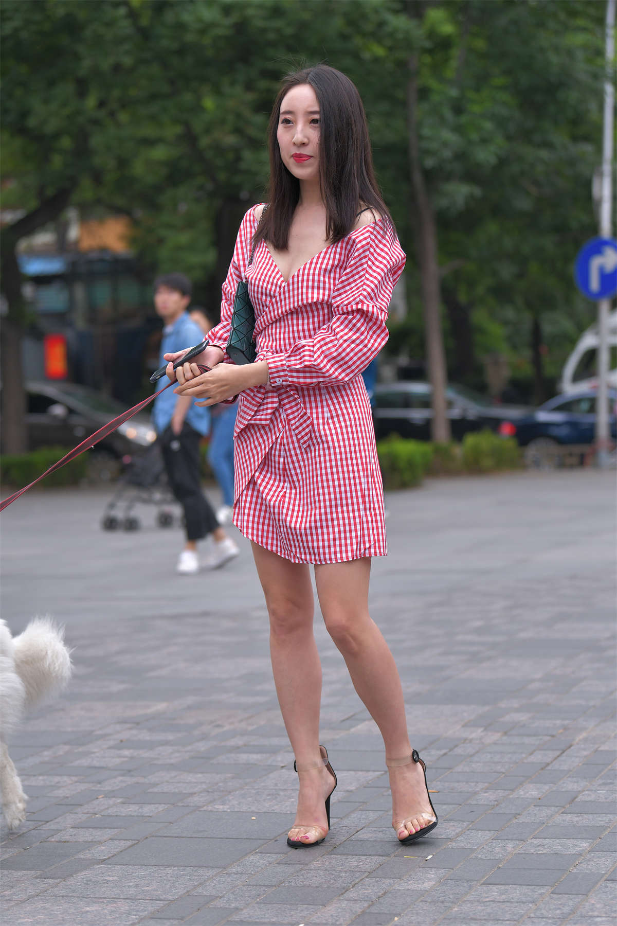 红石街拍作品 – 路边遛狗的长腿美女2-日更街拍
