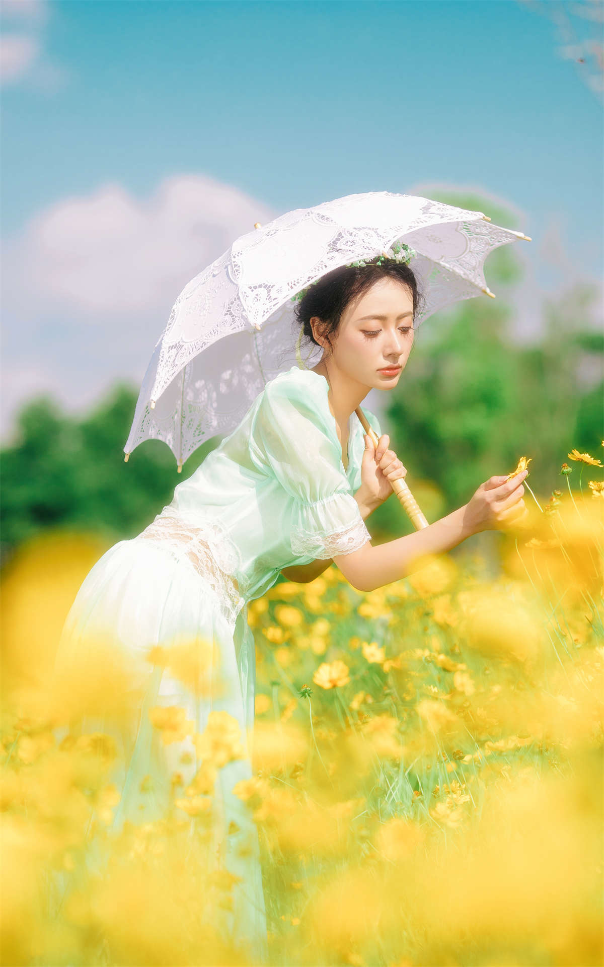 YITUYU艺图语 2024.08.15 开在夏日里的花 是昂羊呀插图1