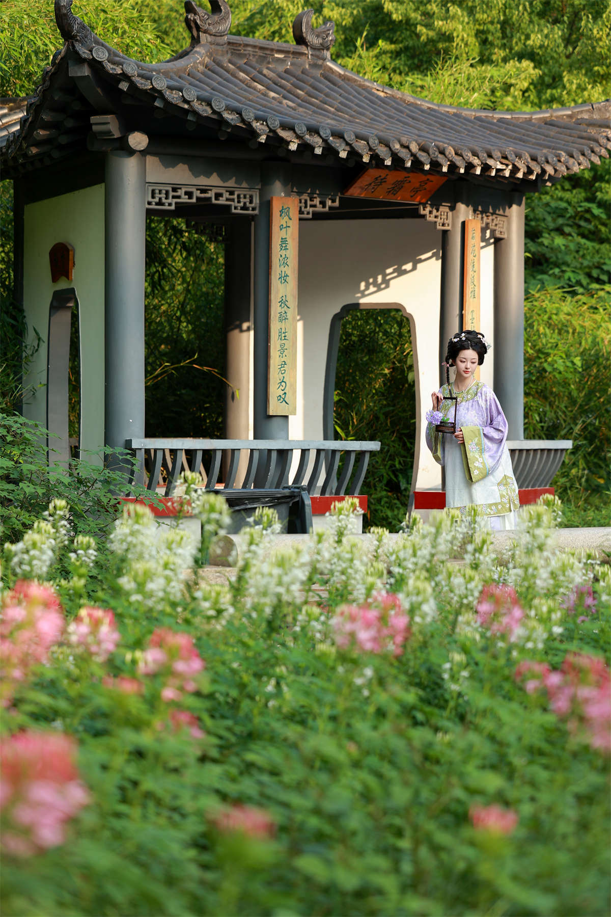 YITUYU艺图语 2024.09.07 醉蝶 不可爱的禾禾喵插图1