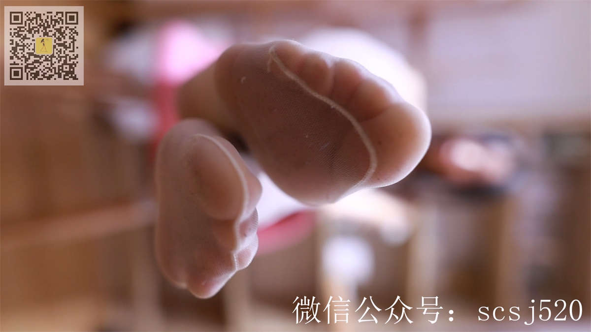 LSS山茶摄影视频 NO.045-日更街拍