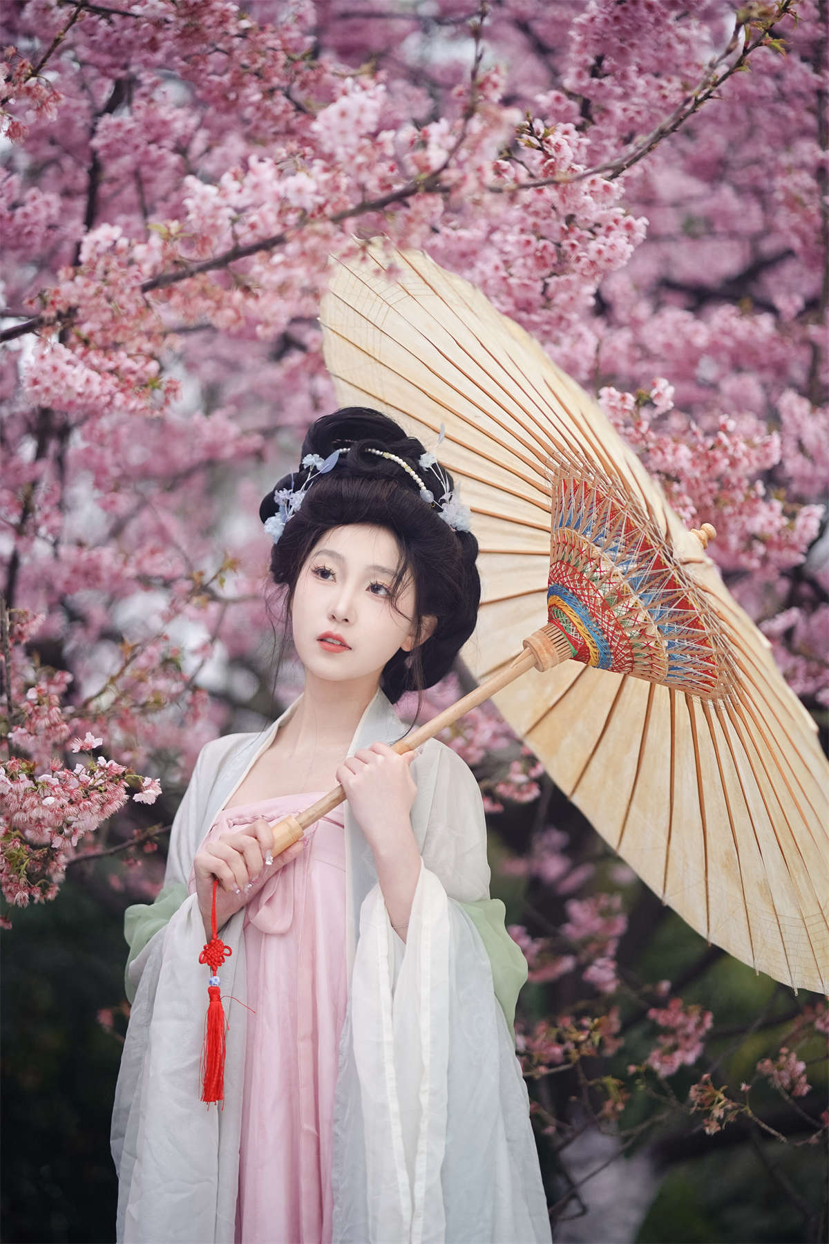 YITUYU艺图语 2024.04.27 春樱 树芊忆插图1