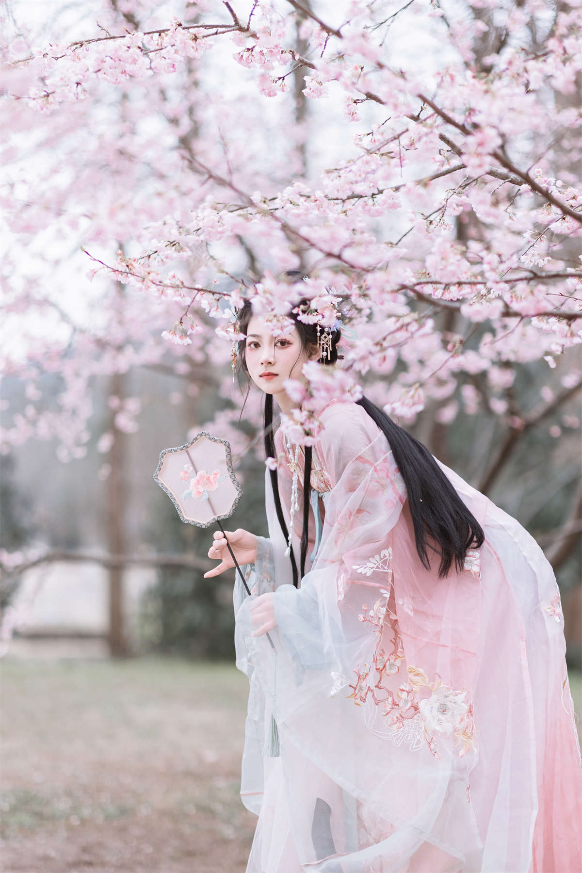 YITUYU艺图语 2024.04.28 春之樱 昔让插图1