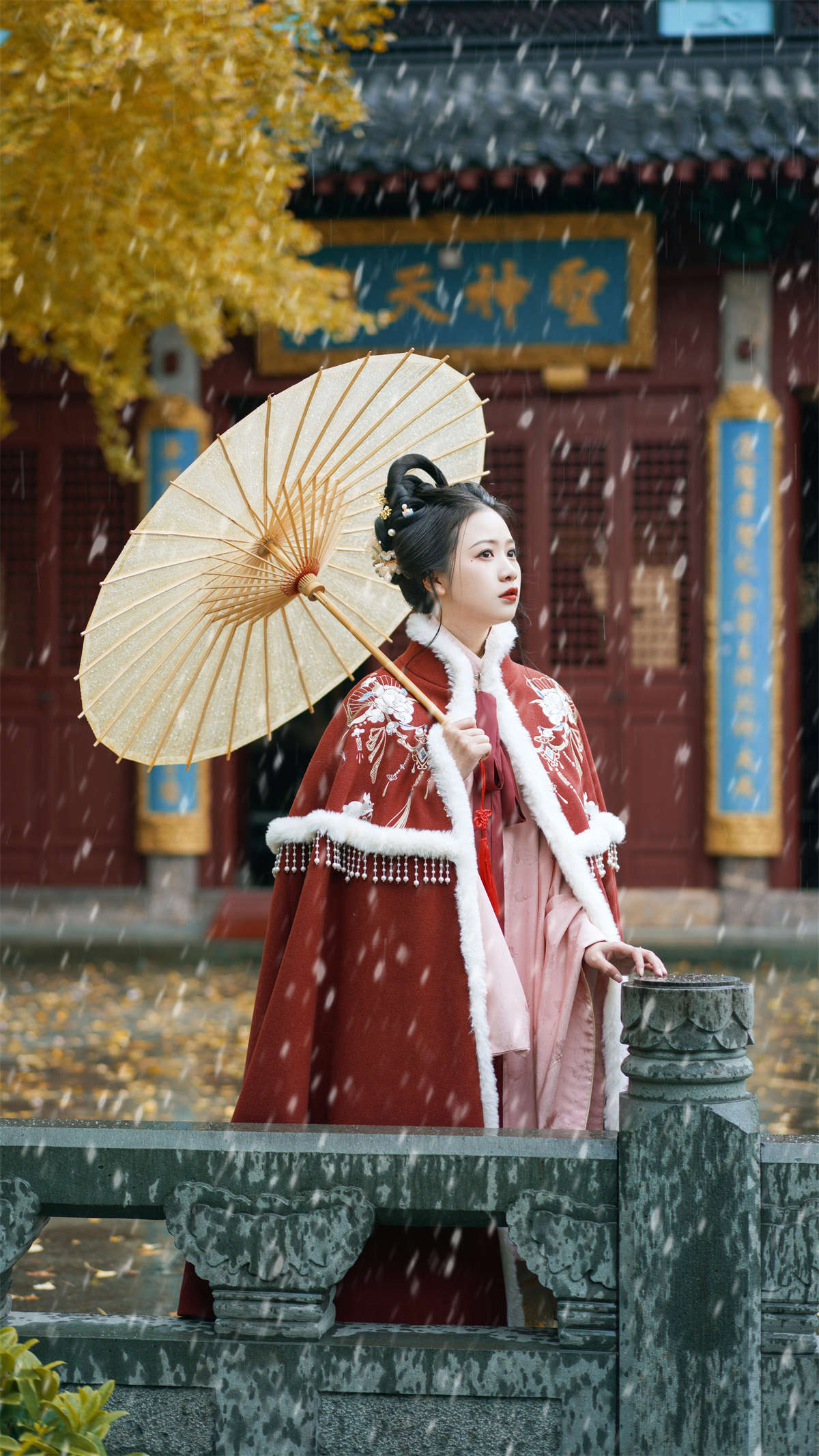 YITUYU艺图语 2022.12.22 初雪 旺旺小小舒插图1