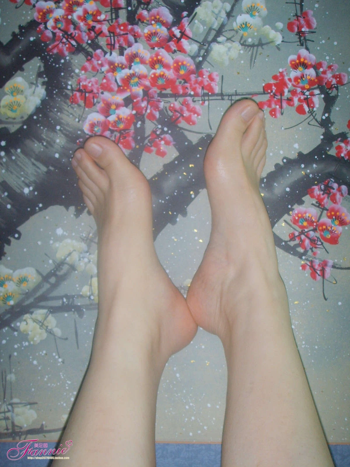 Fannie芬妮美足园NO.509 梅足图-日更街拍