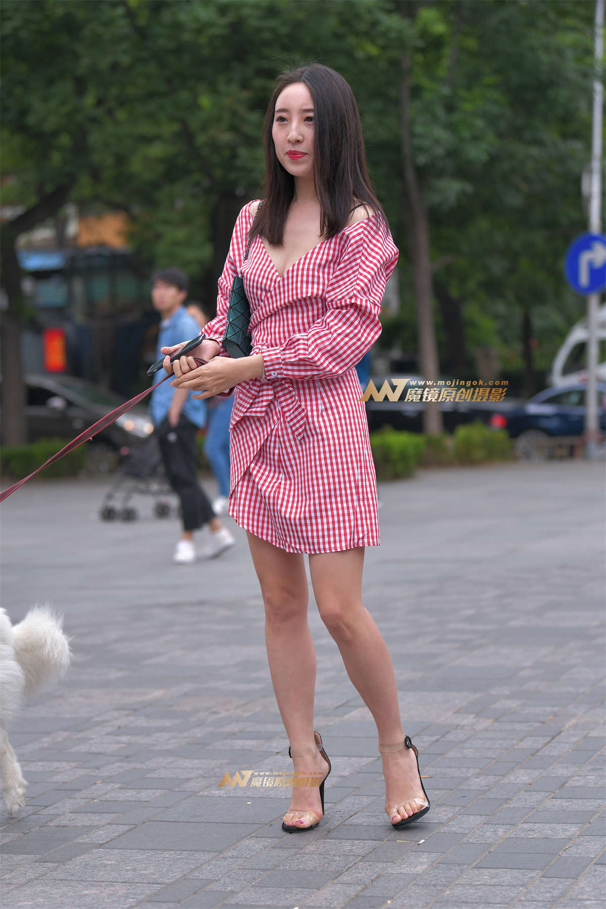 【红石赛帖】路边遛狗的长腿美女2-日更街拍