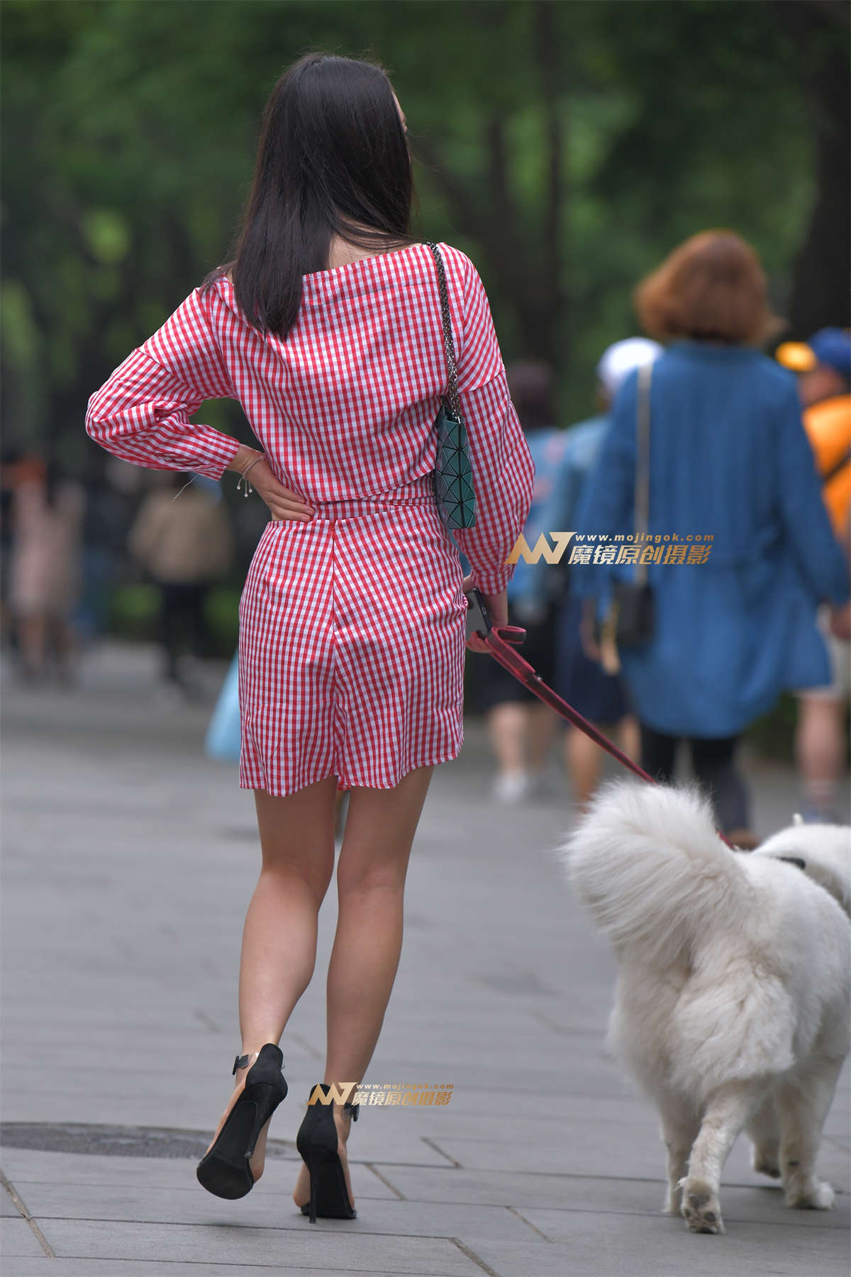 图片[2]-【红石赛帖】路边遛狗的长腿美女2-日更街拍