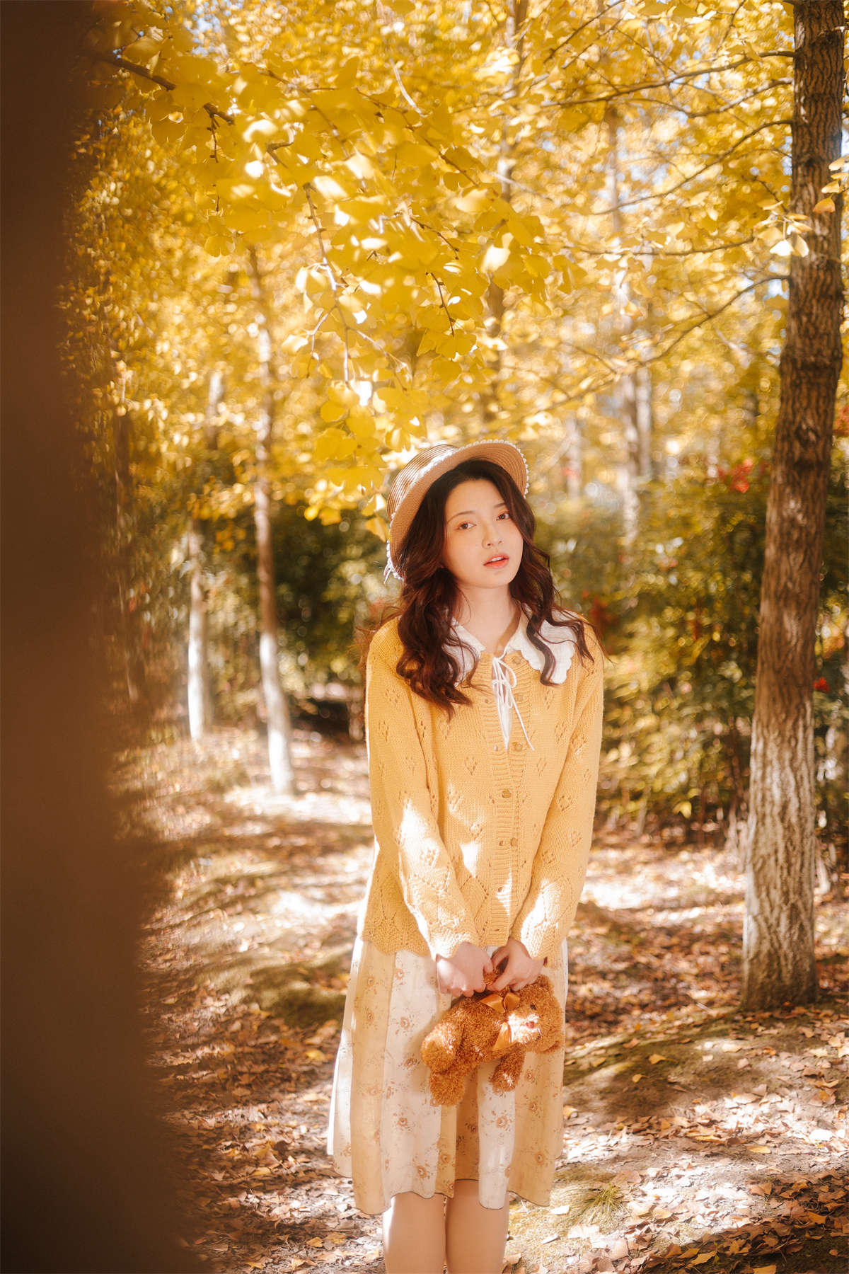 YITUYU艺图语 2023.12.13 落日余晖秋意浓 李悦插图1