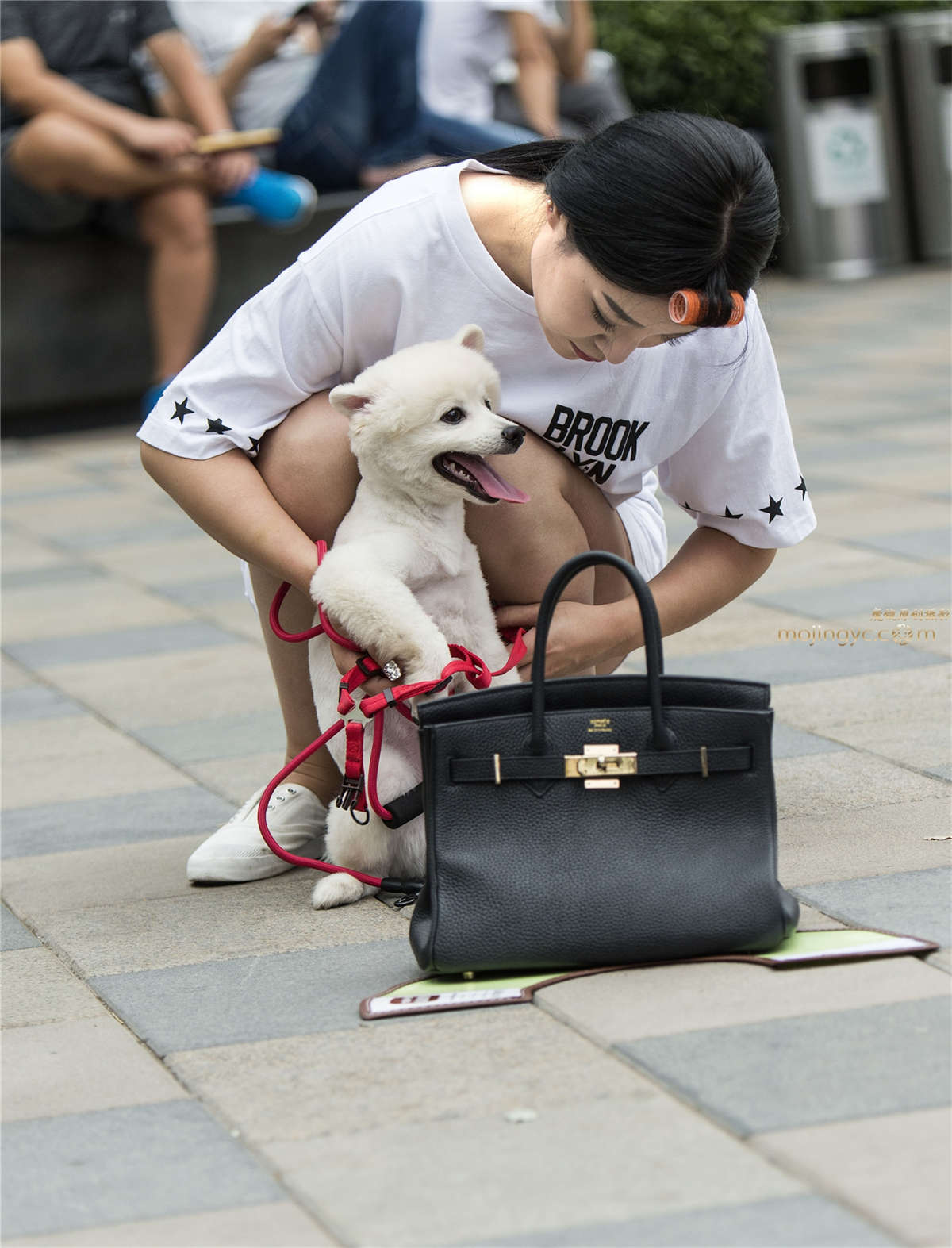 美女与狗狗-日更街拍