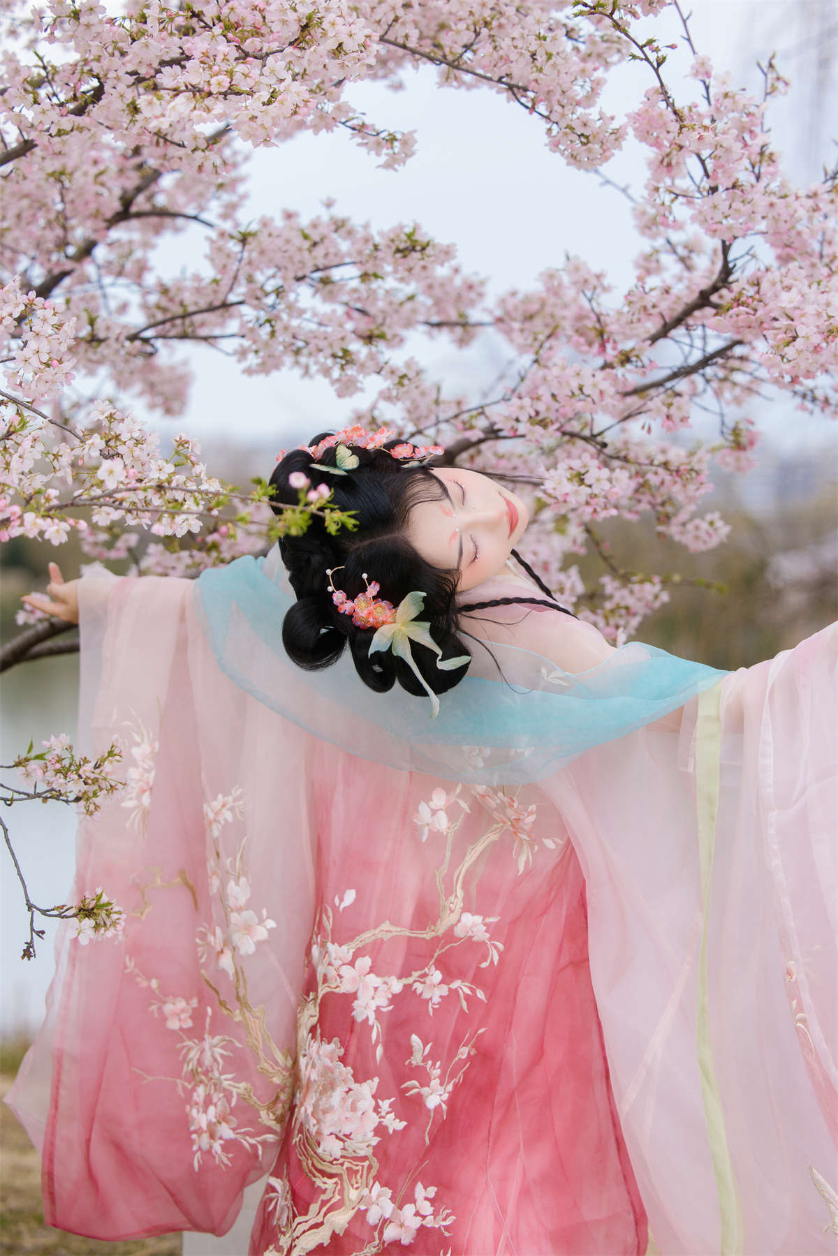 YITUYU艺图语 2024.09.22 赏樱 衔鹿插图1