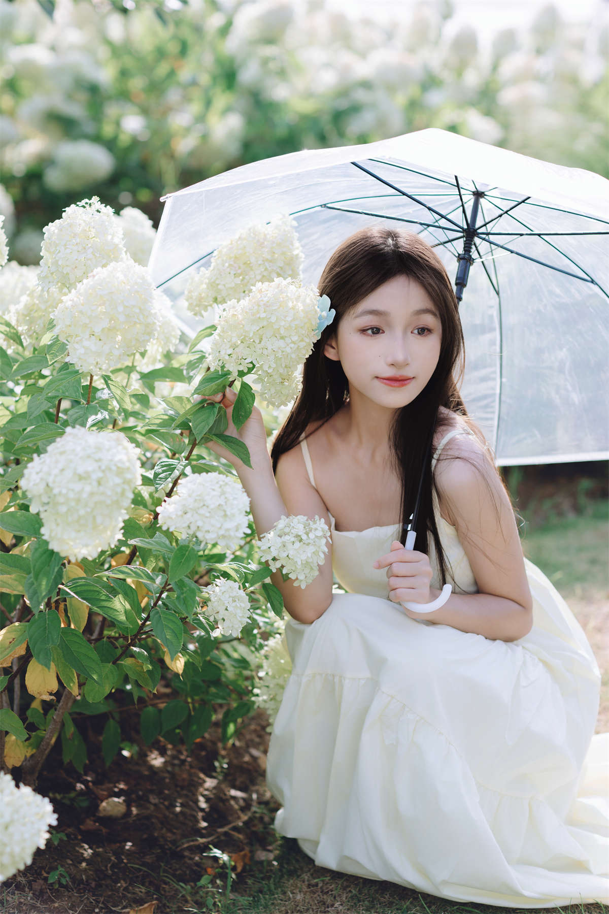 YITUYU艺图语 2024.09.23 夏日绣球 钰儿插图1