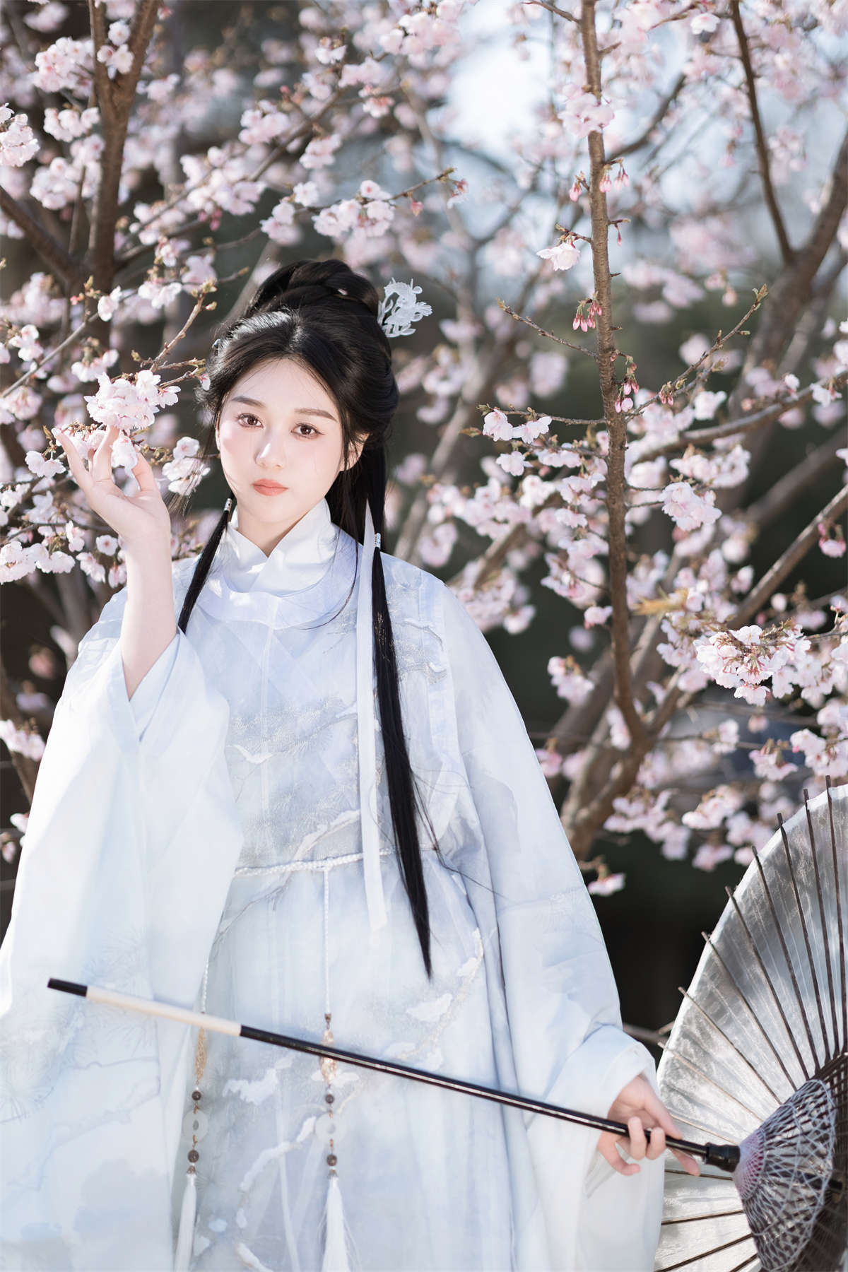 YITUYU艺图语 2024.05.06 花间酒 郑钰熙插图1