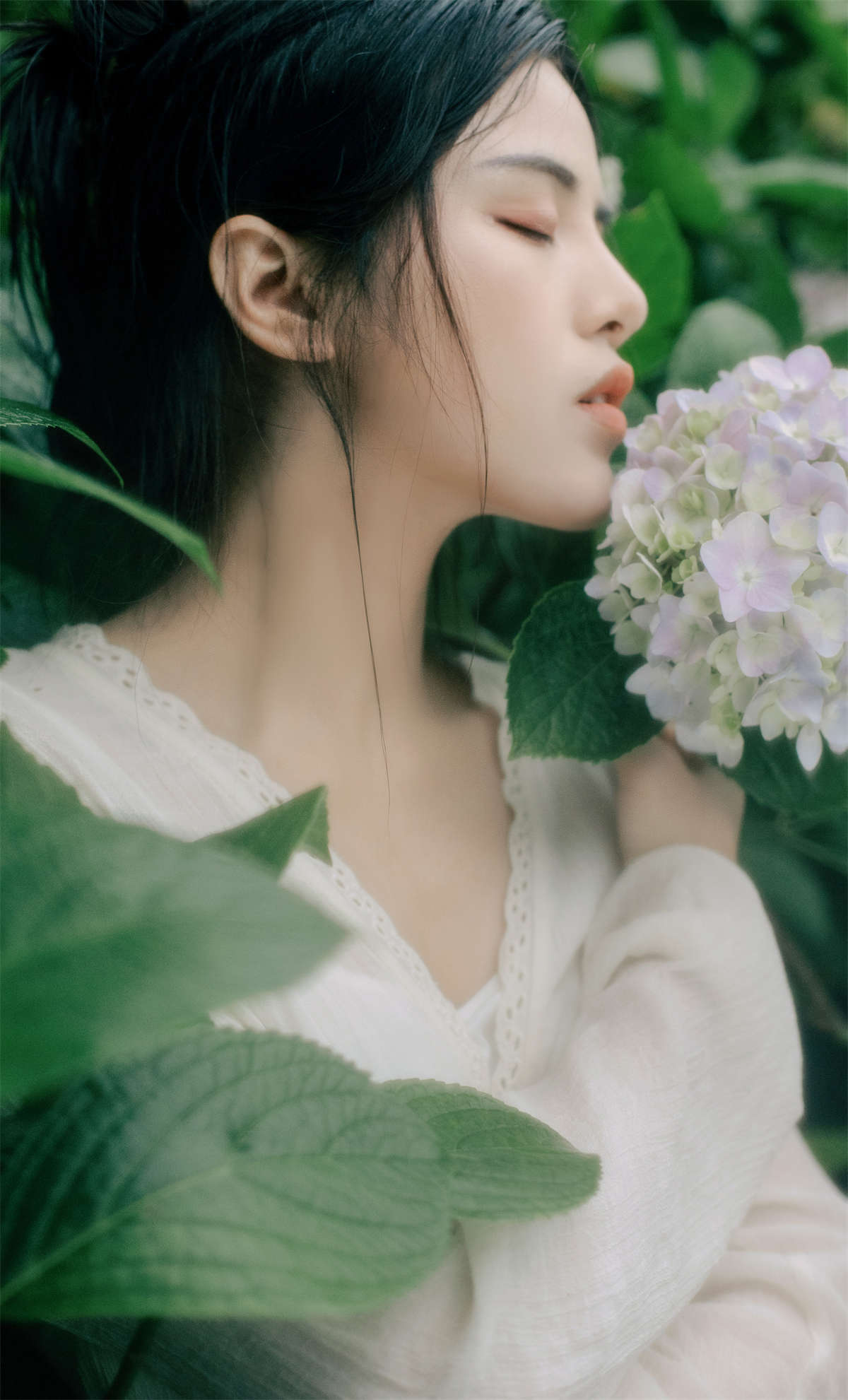 YITUYU艺图语 2024.08.24 花开半夏 安妮插图1