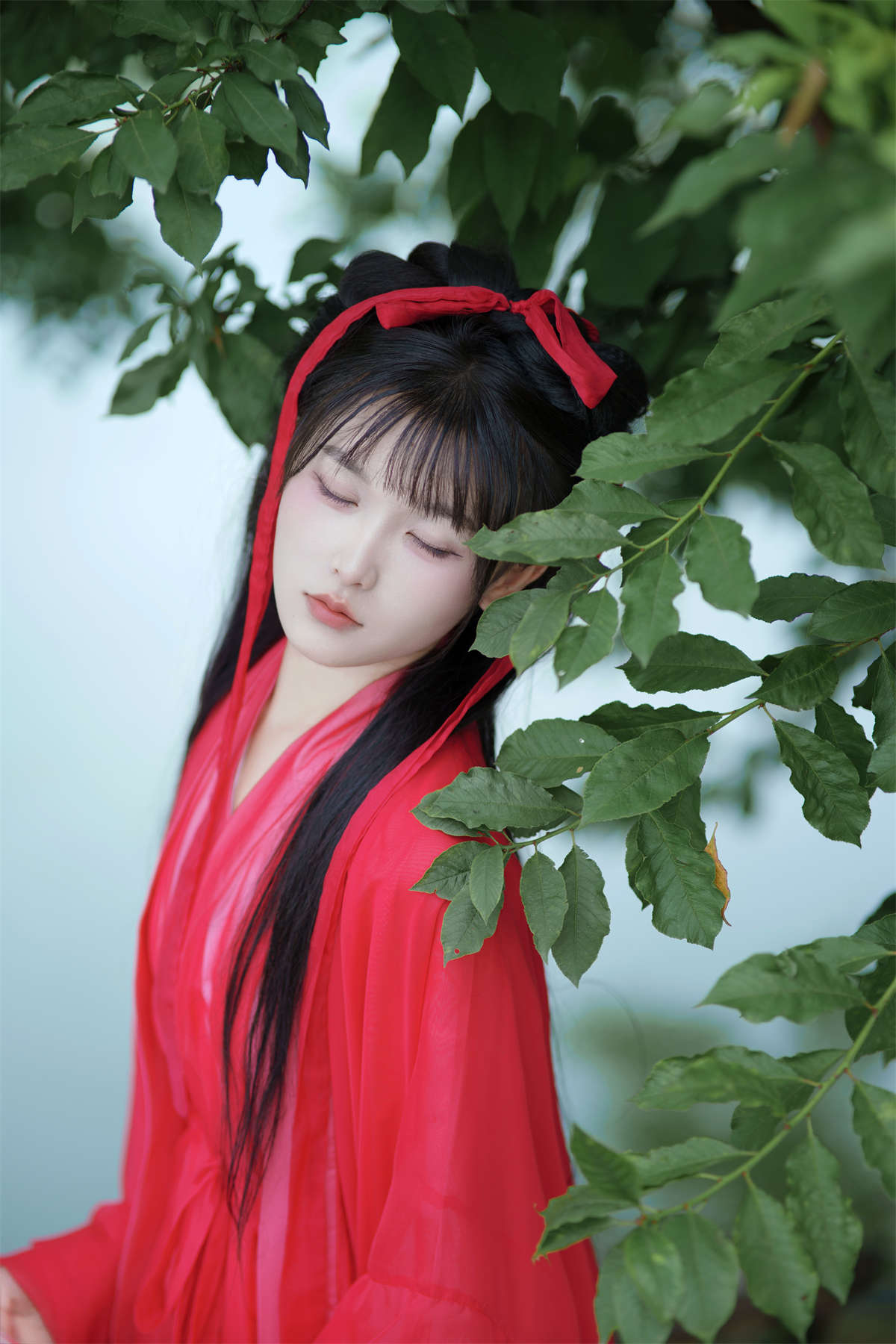 YITUYU艺图语 2024.08.26 林花谢了春红 小小雨插图1