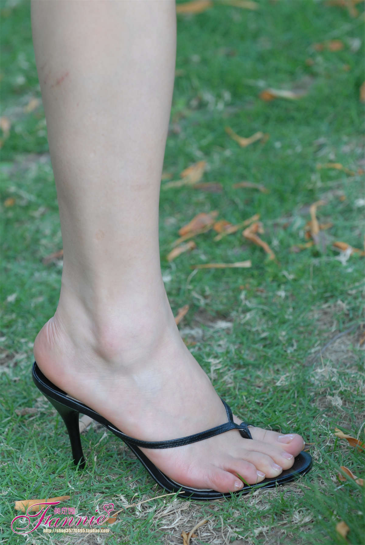 Fannie芬妮美足园NO.664 绿草如茵的家园 芳香盈路-日更街拍