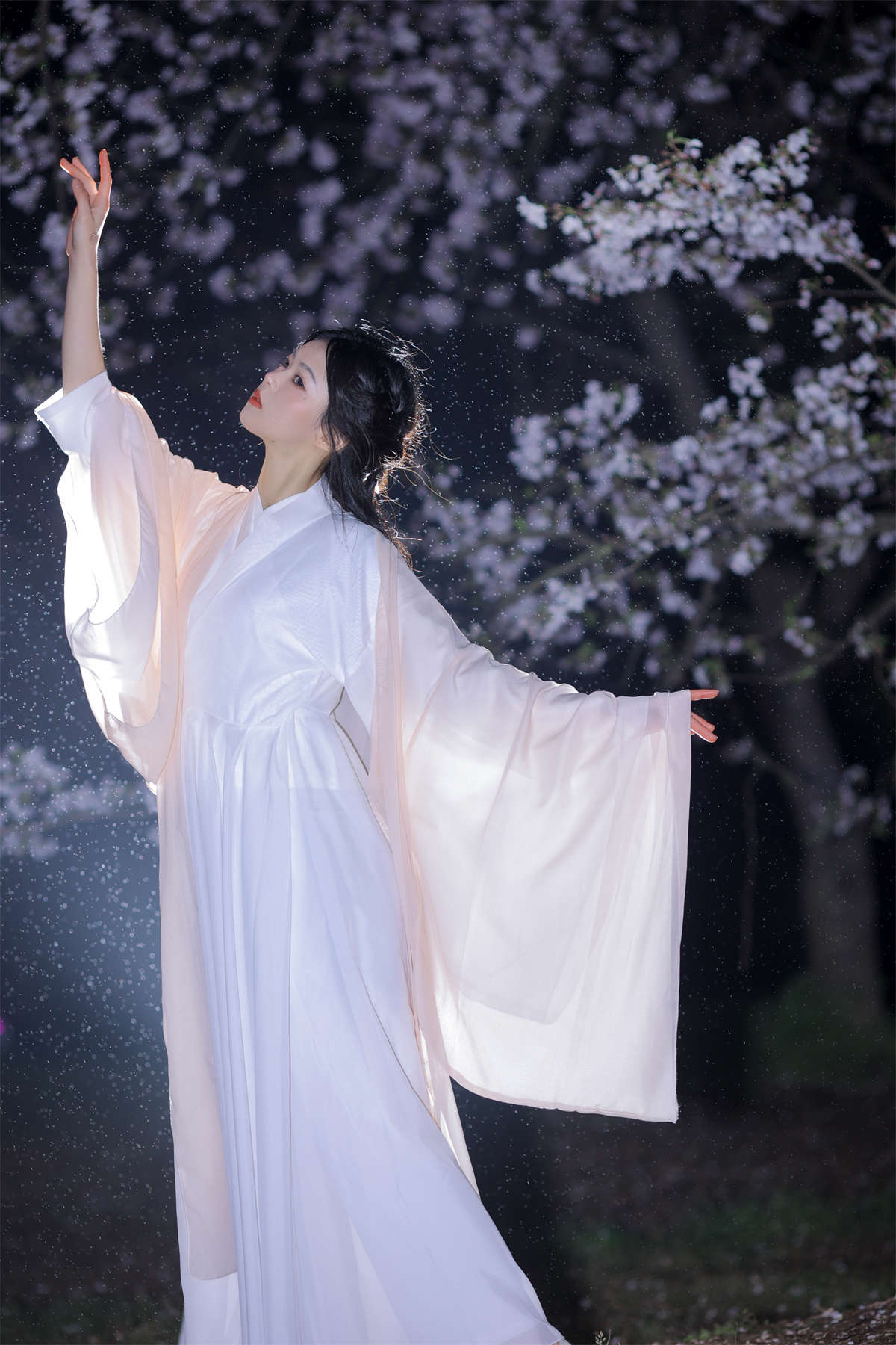 YITUYU艺图语 2024.05.12 夜樱 小羊插图1