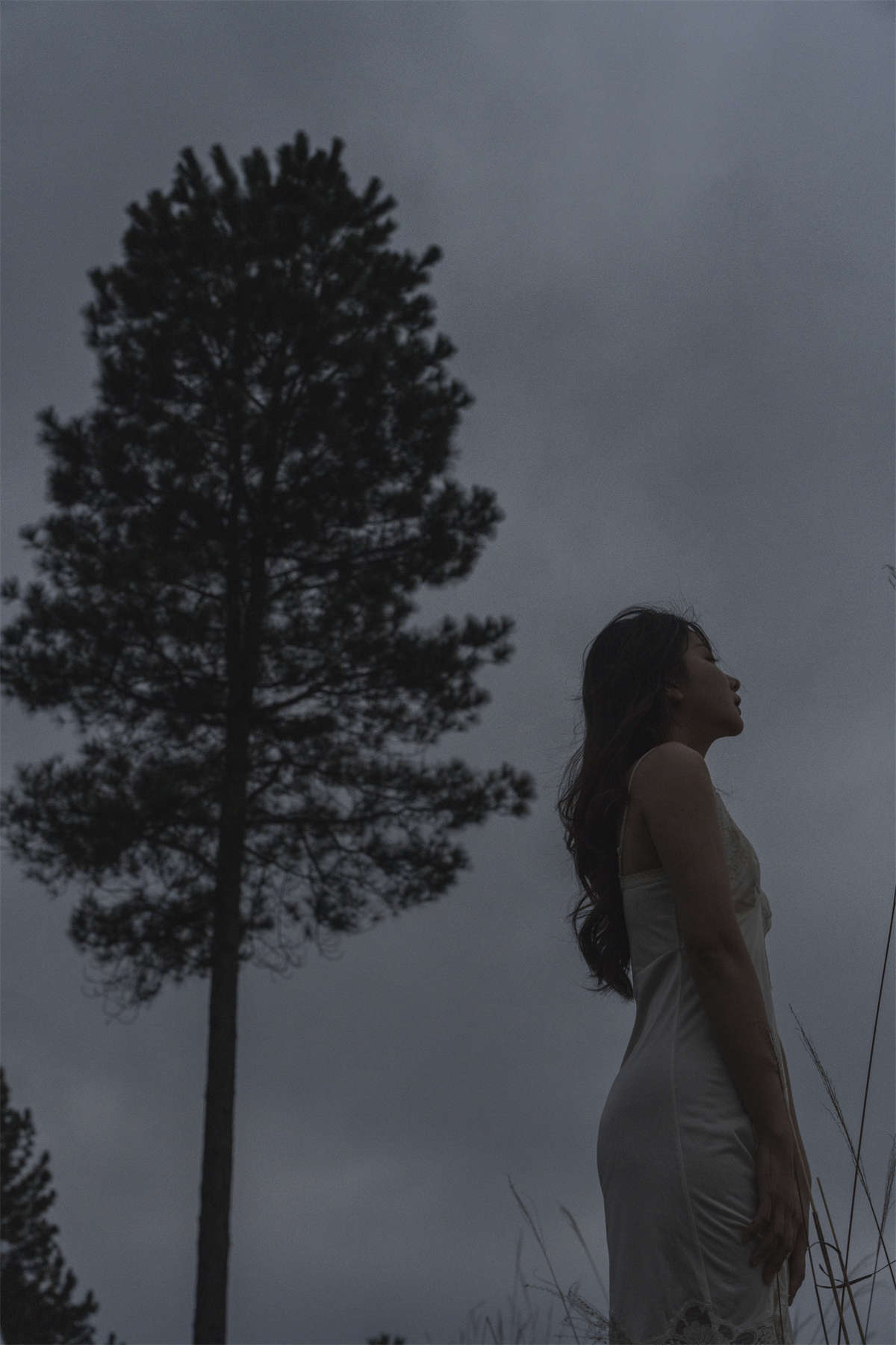 YITUYU艺图语 2024.05.13 晚风拂面 穆穆插图1