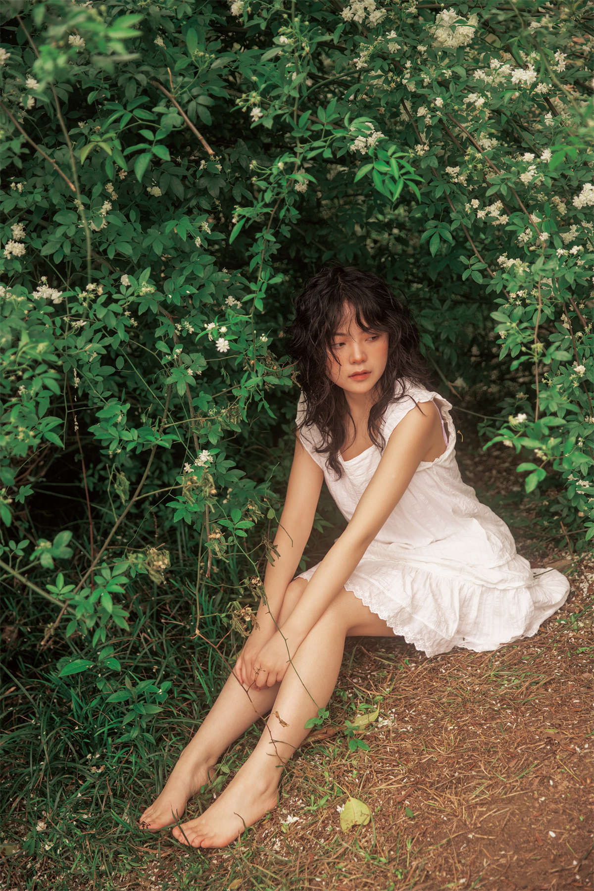 YITUYU艺图语 2024.05.25 七里香 野麦子插图1