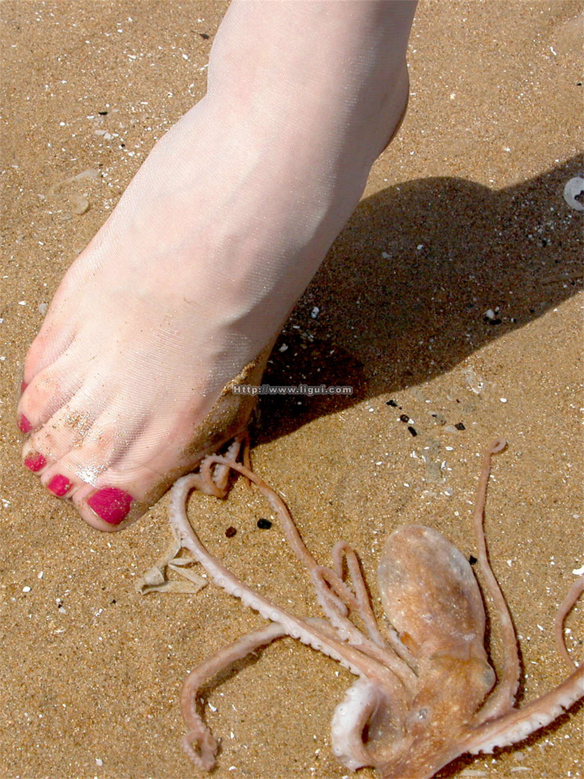 图片[2]-Ligui丽柜 2004-3-13-日更街拍