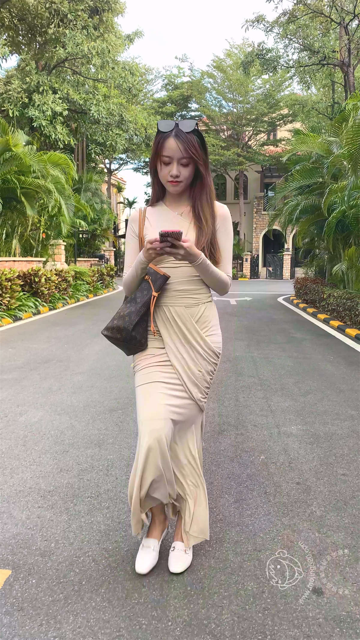 一只麋鹿摄影作品 晚安-日更街拍