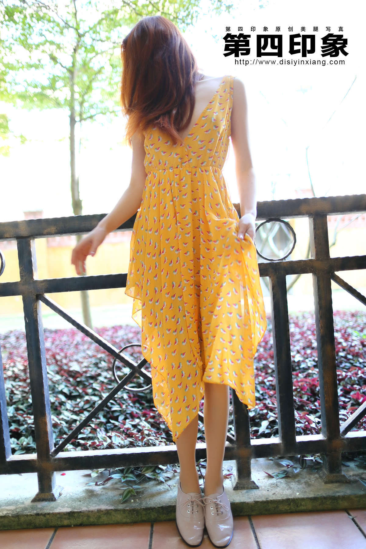 DISI第四印象 2015.02.25 NO.394-日更街拍