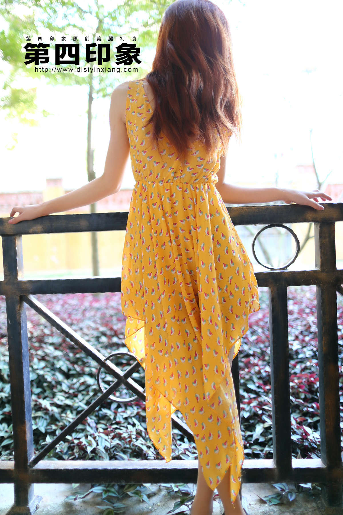 图片[2]-DISI第四印象 2015.02.25 NO.394-日更街拍