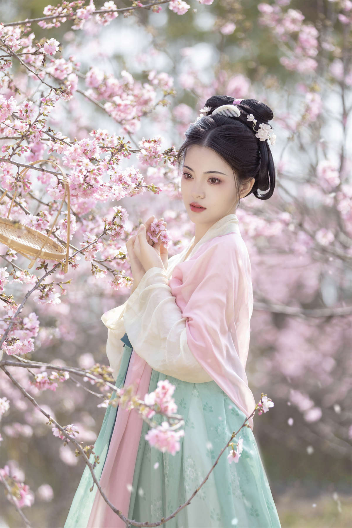 YITUYU艺图语 2024.05.27 春樱 二月雪雪插图1