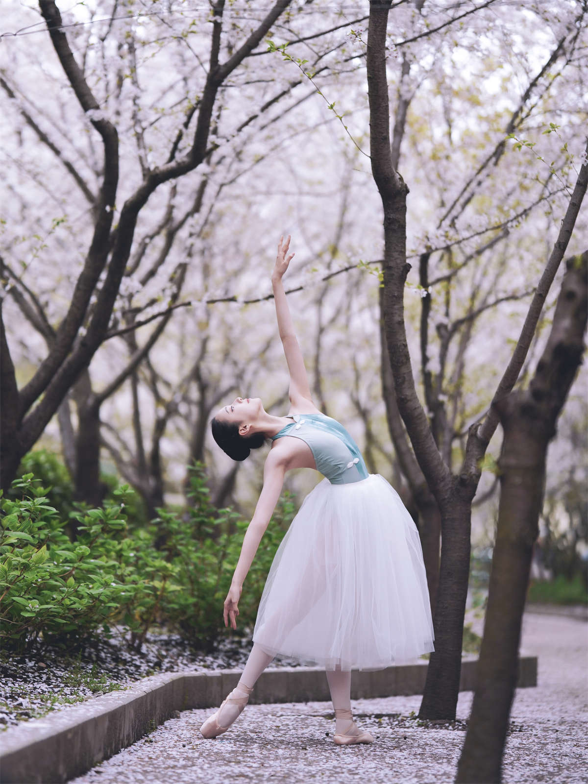 YITUYU艺图语 2024.05.30 樱花芭蕾 小熊-日更街拍