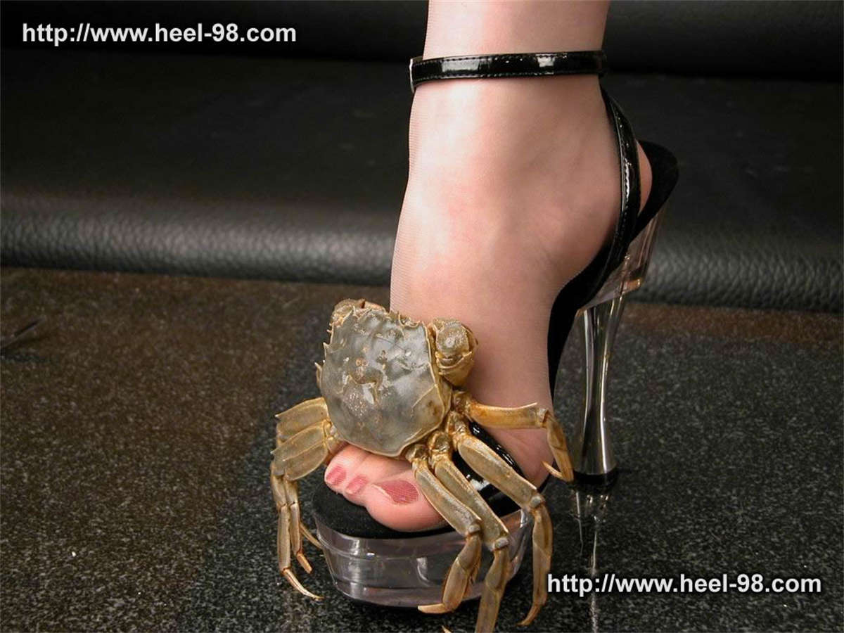 图片[2]-Ligui丽柜 2003 Messy 杂乱系列上-日更街拍