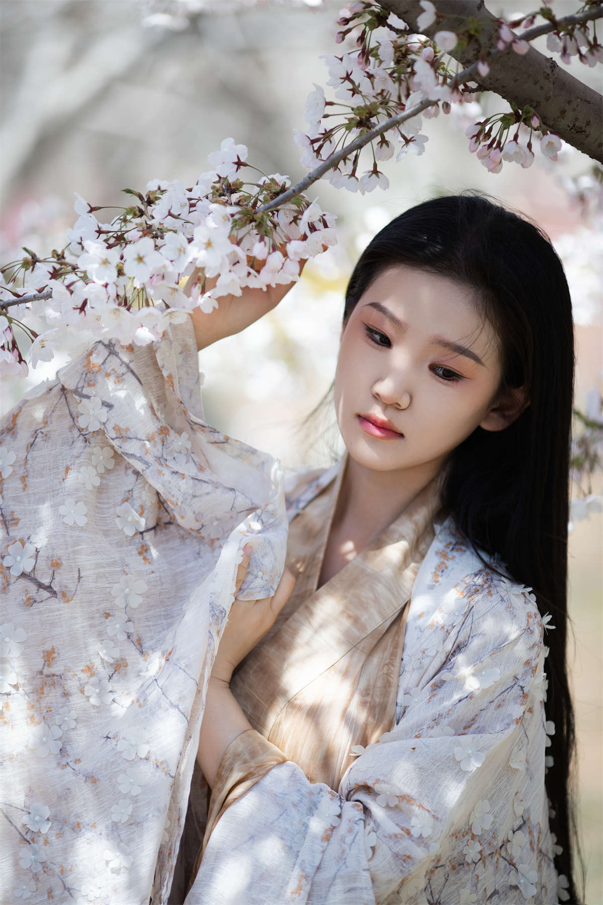 YITUYU艺图语 2024.05.30 玉兰花开 相望回首喵喵喵插图1