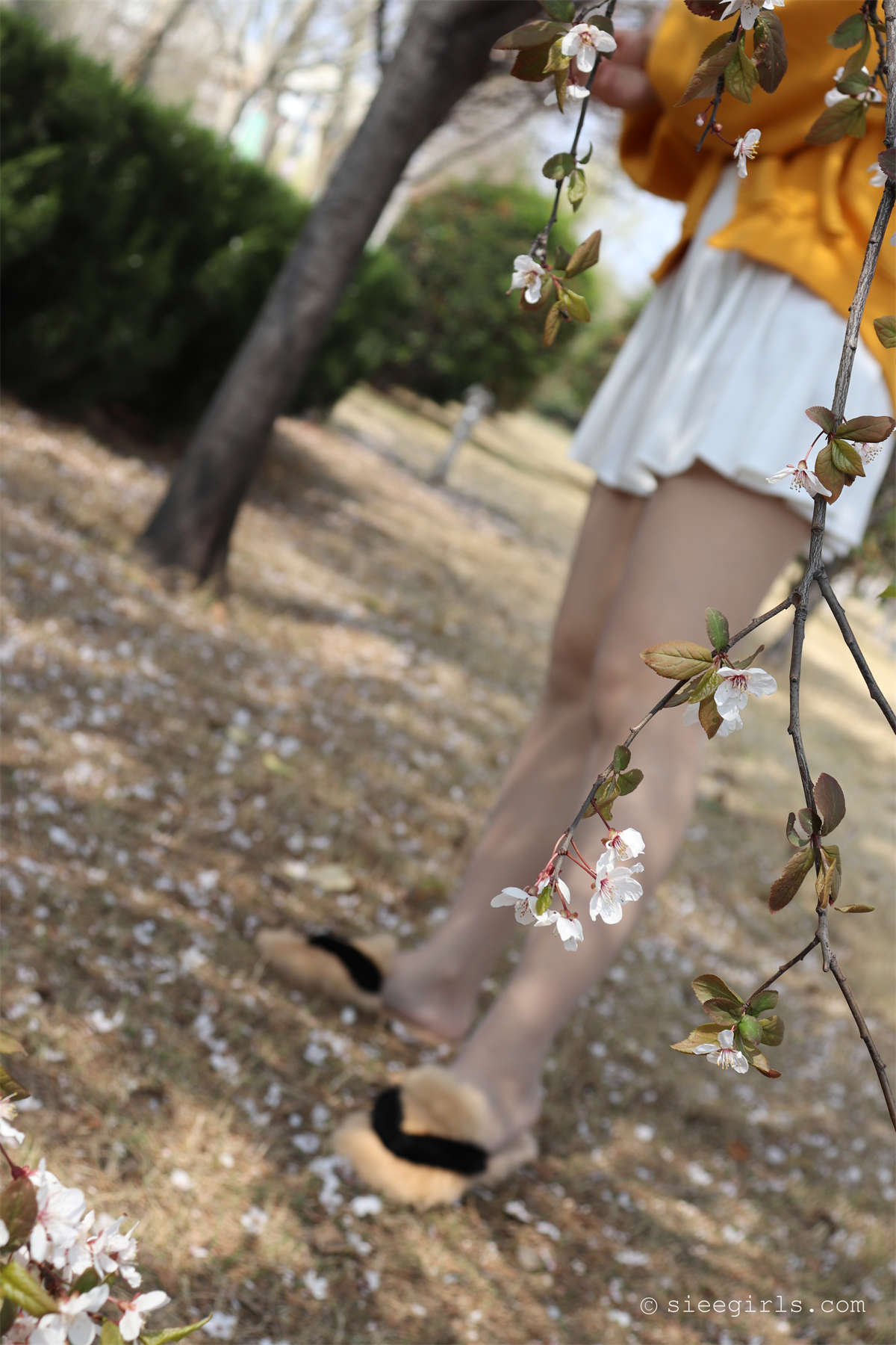 SIEE丝意新刊 NO.066 依依 不说再见-日更街拍