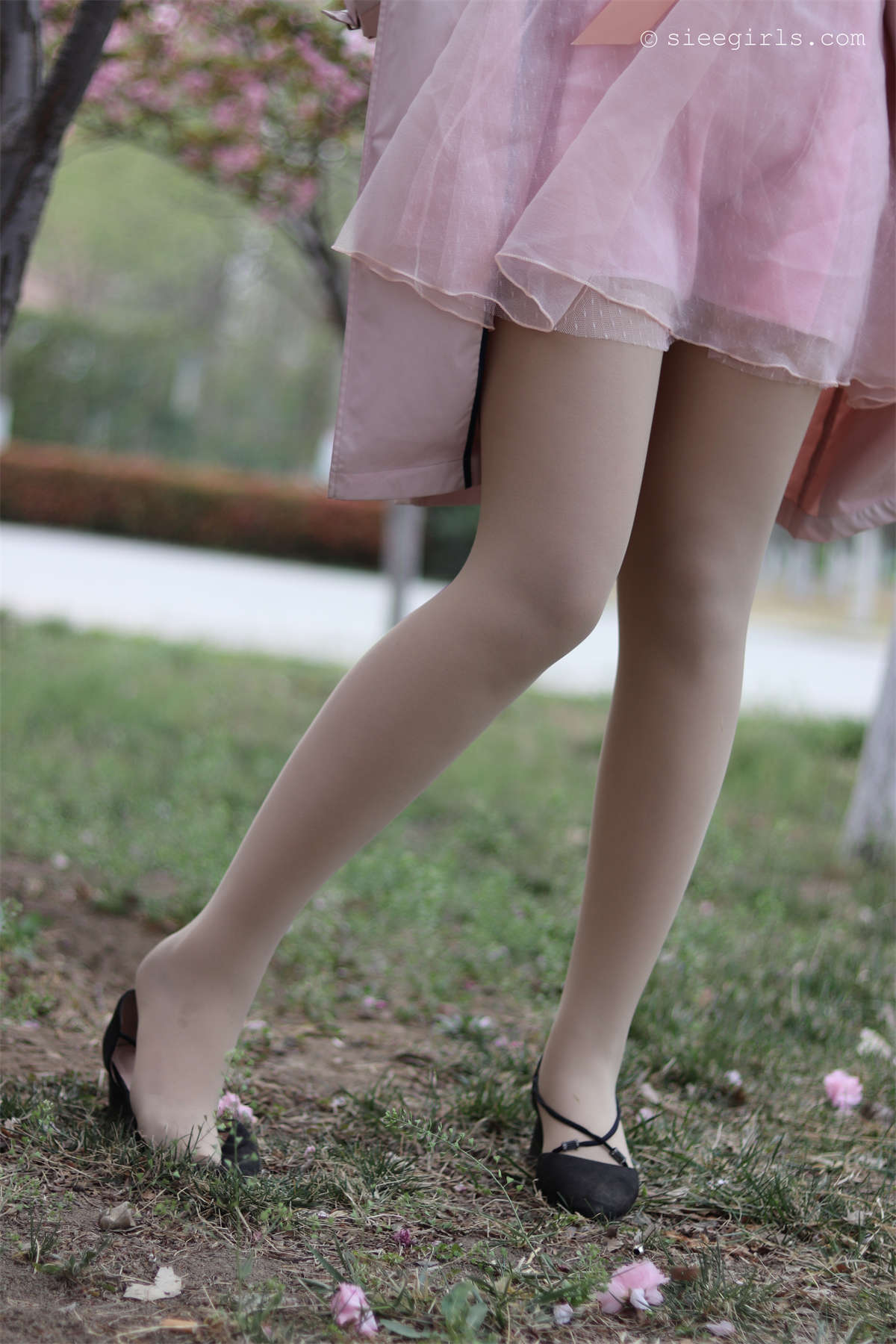 SIEE丝意新刊 NO.067 曦曦 风吹过-日更街拍