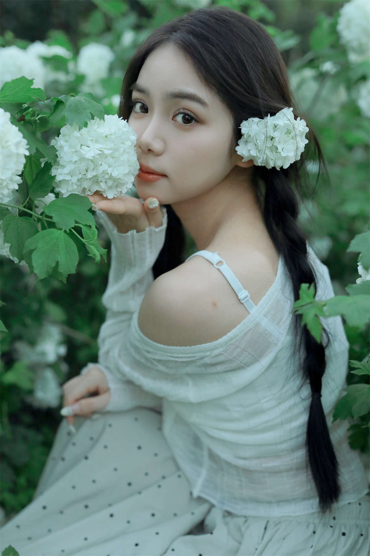 YITUYU艺图语 2024.06.05 四月绣球 我不刷鸟插图1