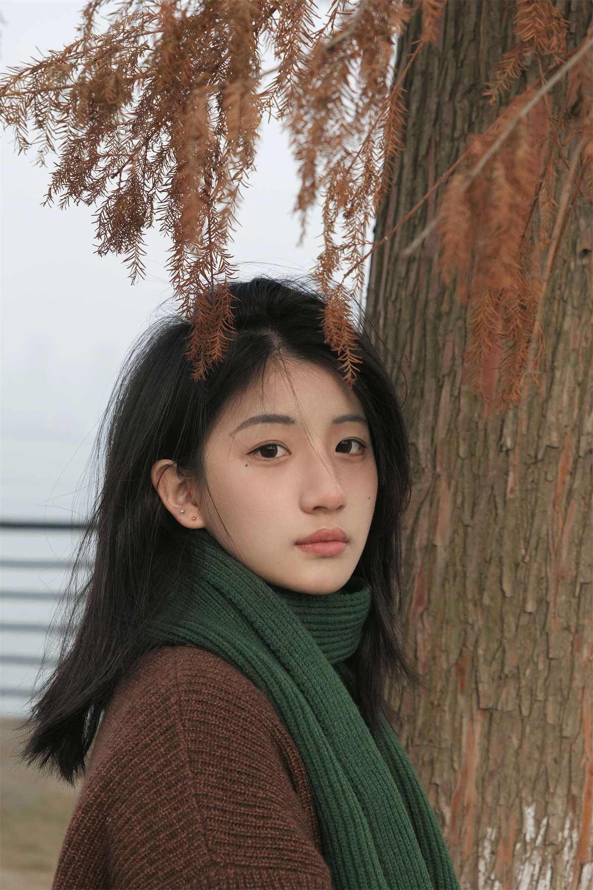 YITUYU艺图语 2024.06.05 忘记你的旅行 鲨鲨帅帅鱼插图1