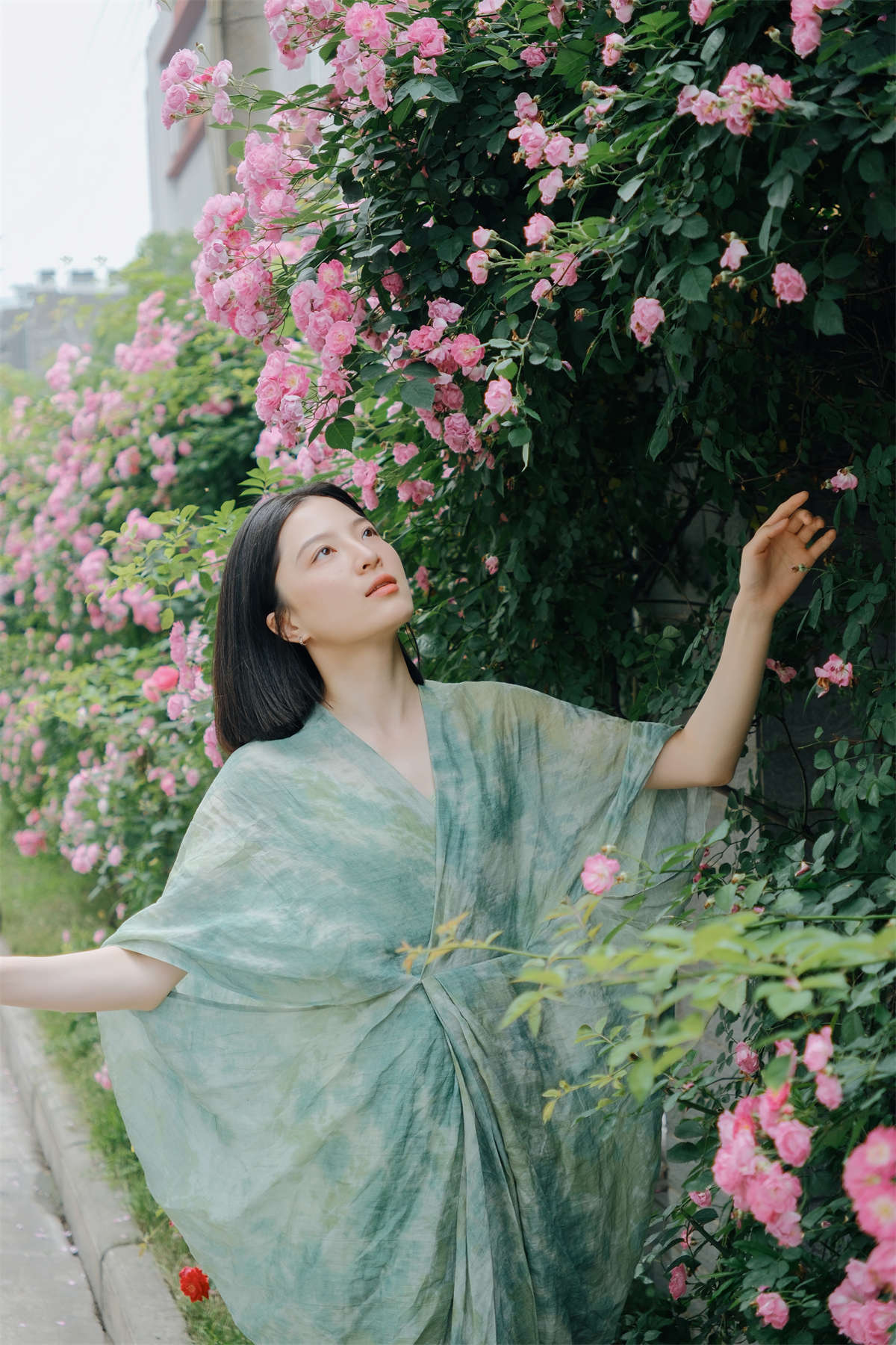 YITUYU艺图语 2024.06.11 记忆是无花的蔷薇 苗苗插图1