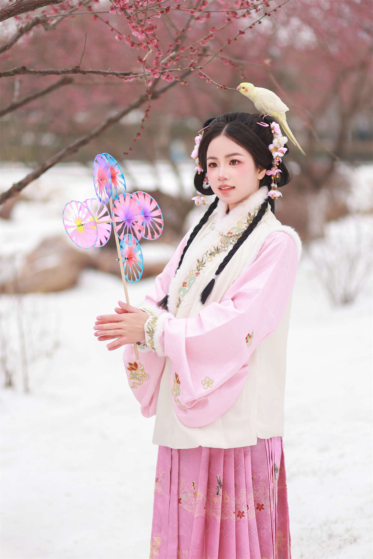 YITUYU艺图语 2024.06.11 小雀仙 小杜同学插图1