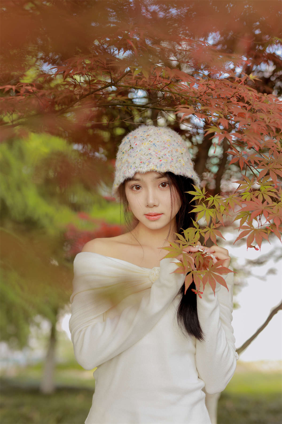 YITUYU艺图语 2024.06.12 红叶季节 我不刷鸟插图1