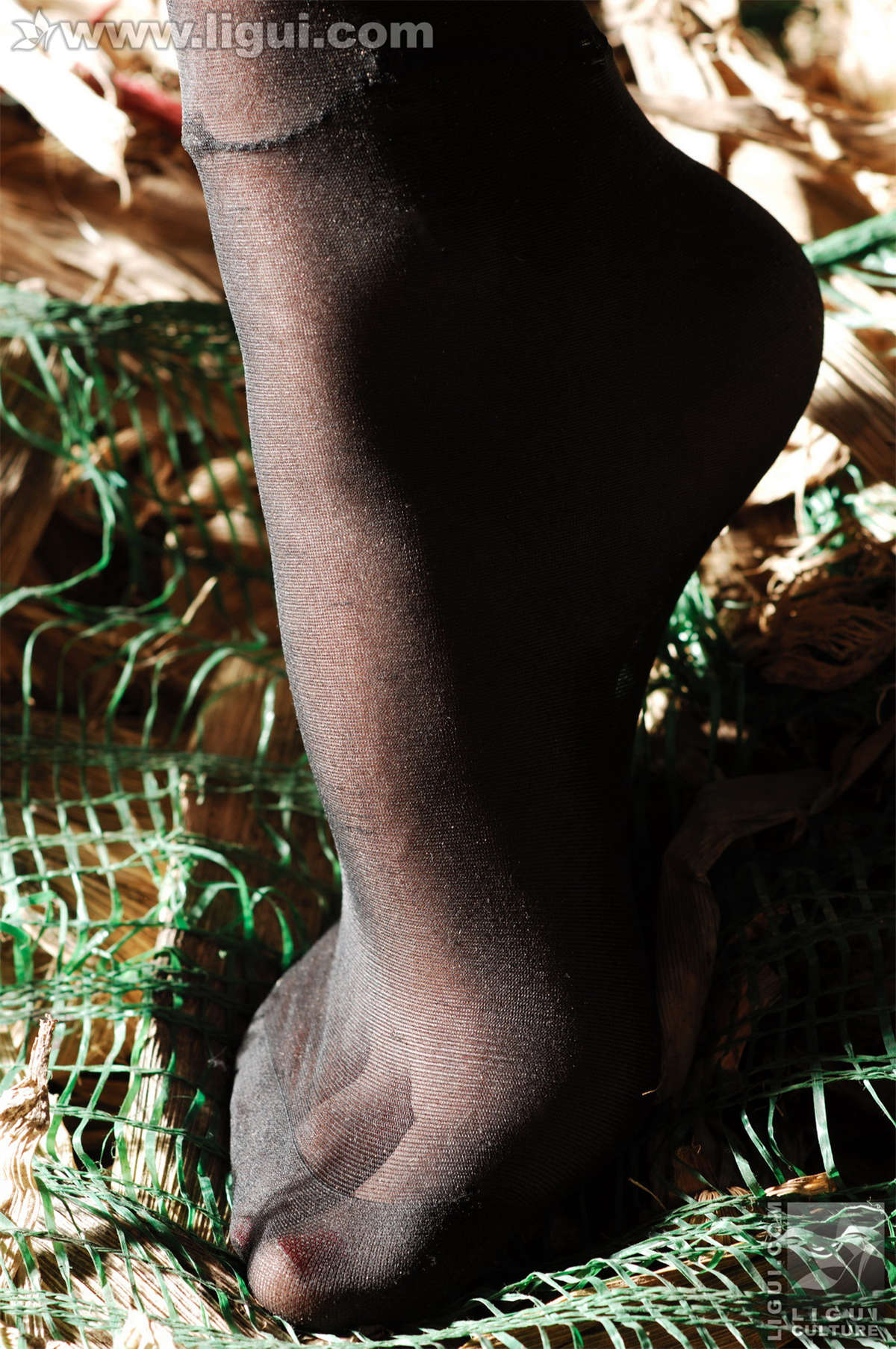 Ligui丽柜 20091127 黑丝诱惑捆绑主题下的完美体现 伊园-日更街拍