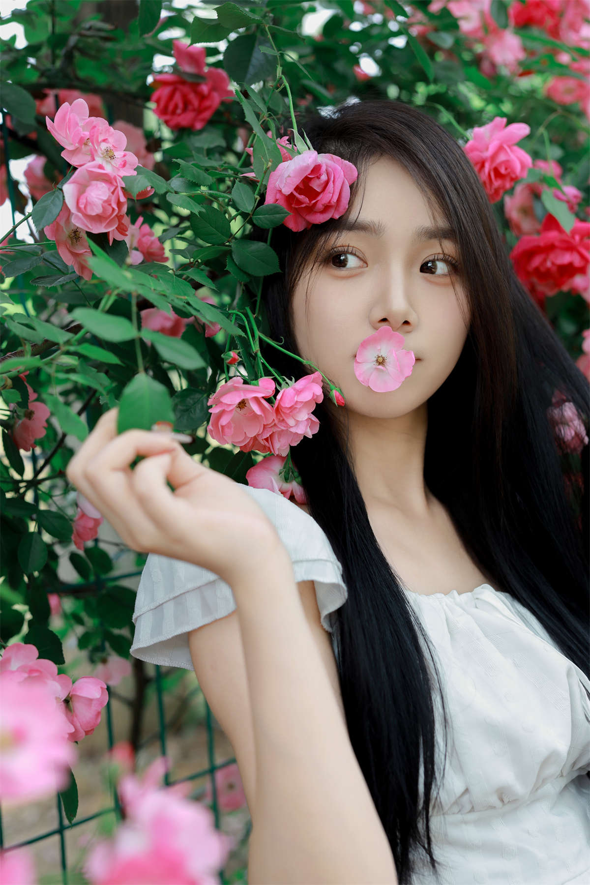 YITUYU艺图语 2024.06.15 花墙 我不刷鸟插图1