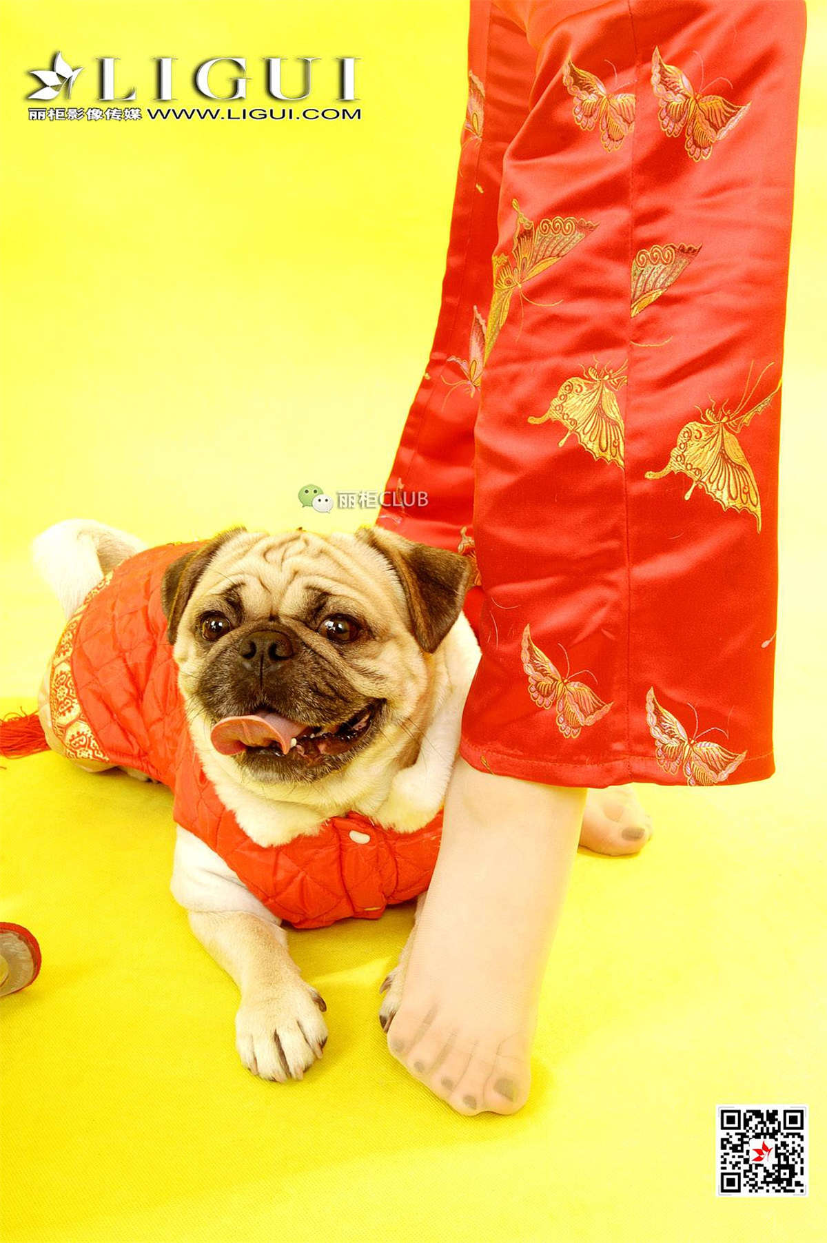 Ligui丽柜 2018.05.11 璐璐-日更街拍