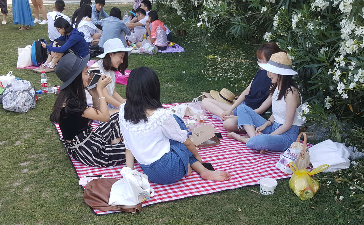 踏青公园街拍系列No.790 漂亮女孩扎堆到老江湖的眼光都无法取舍，只能全部拿下 第1套-日更街拍