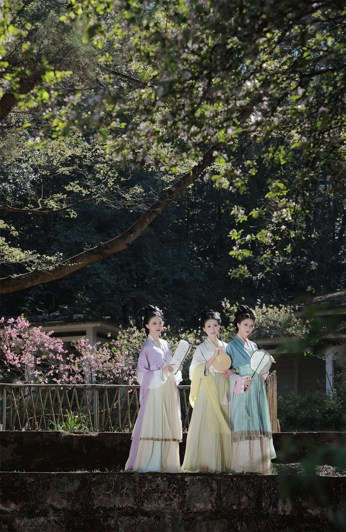 YITUYU艺图语 2024.06.29 春有百花秋有月 与芳_吾岁_瑜瑾插图1