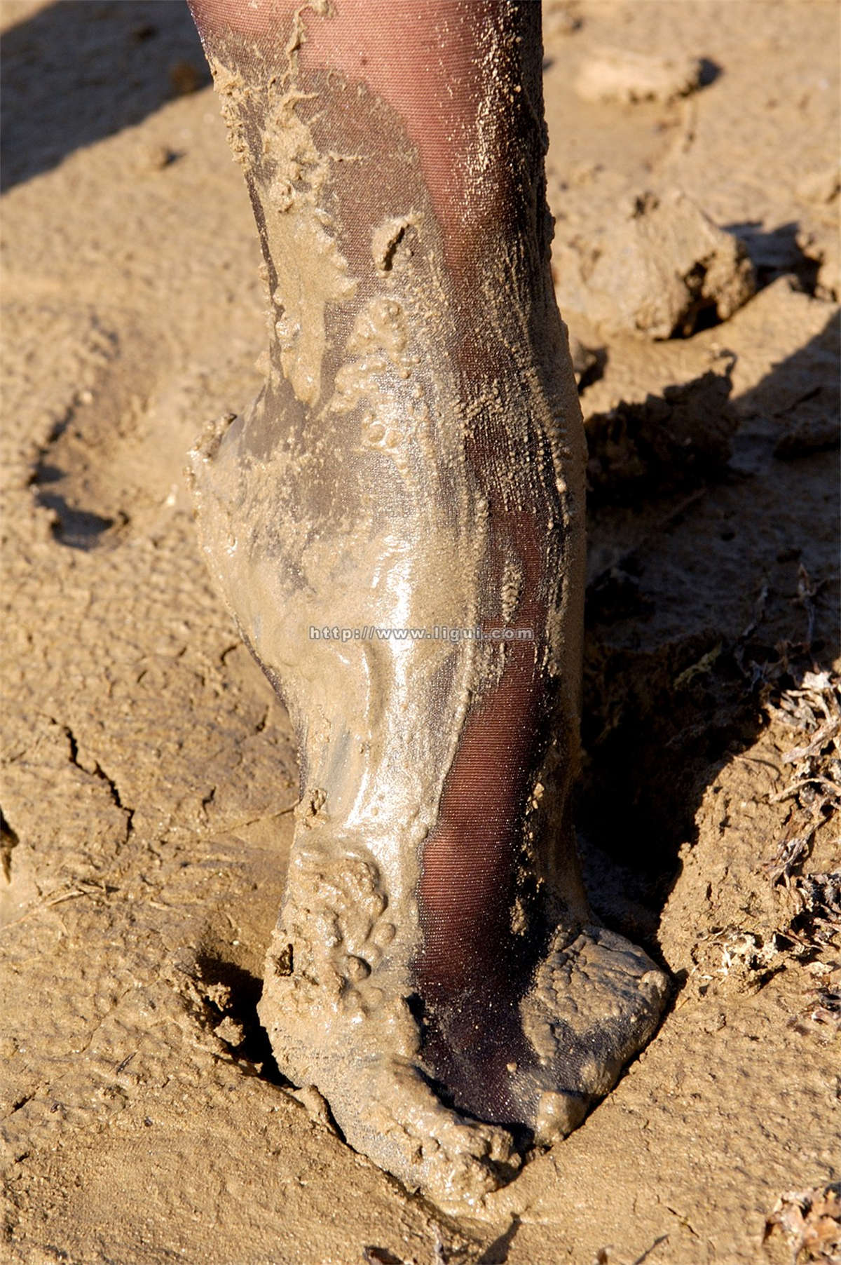 Ligui丽柜 2004-7-3-日更街拍