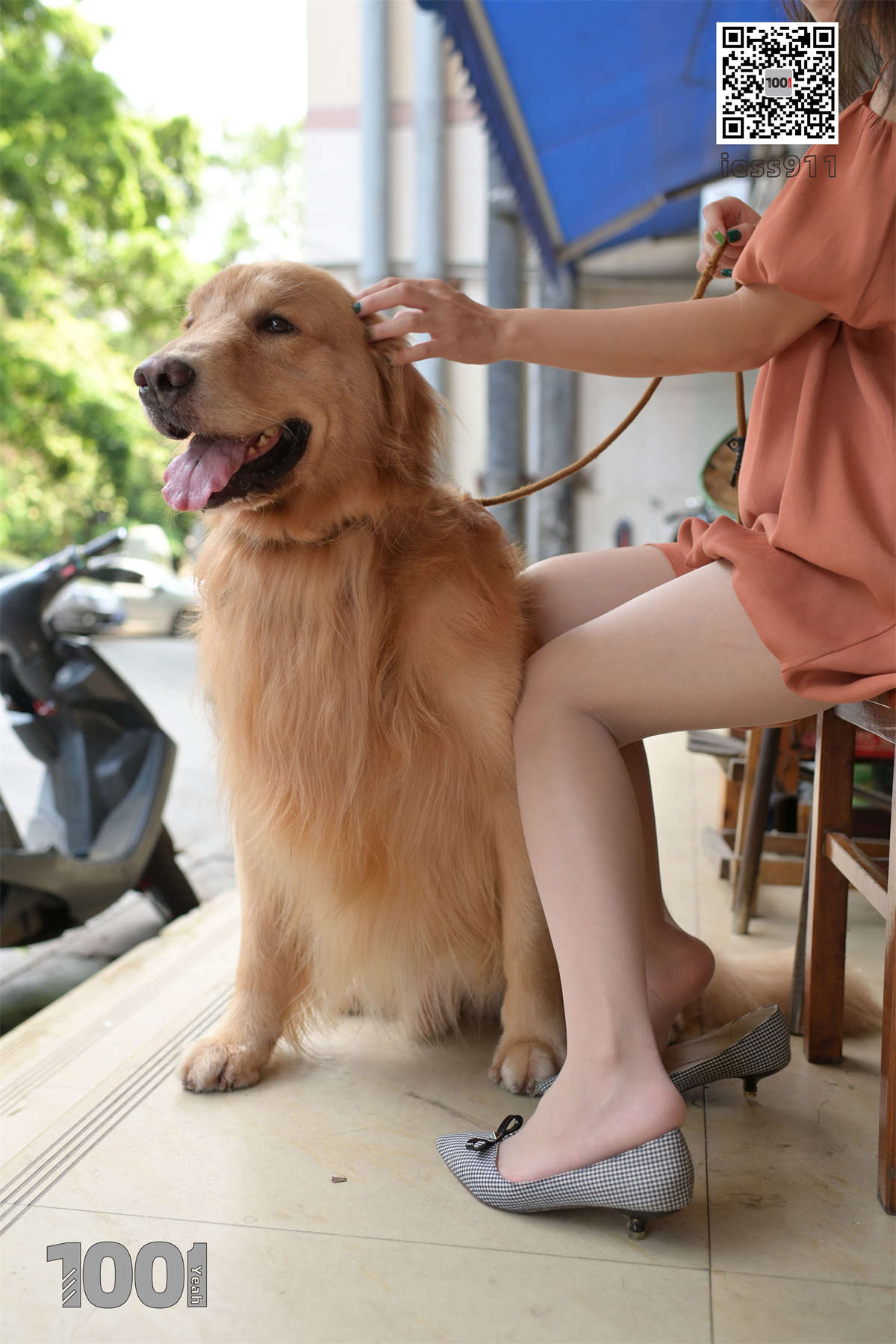 图片[2]-IESS异思趣向 一千零一夜032 真真 家有萌宠1-日更街拍