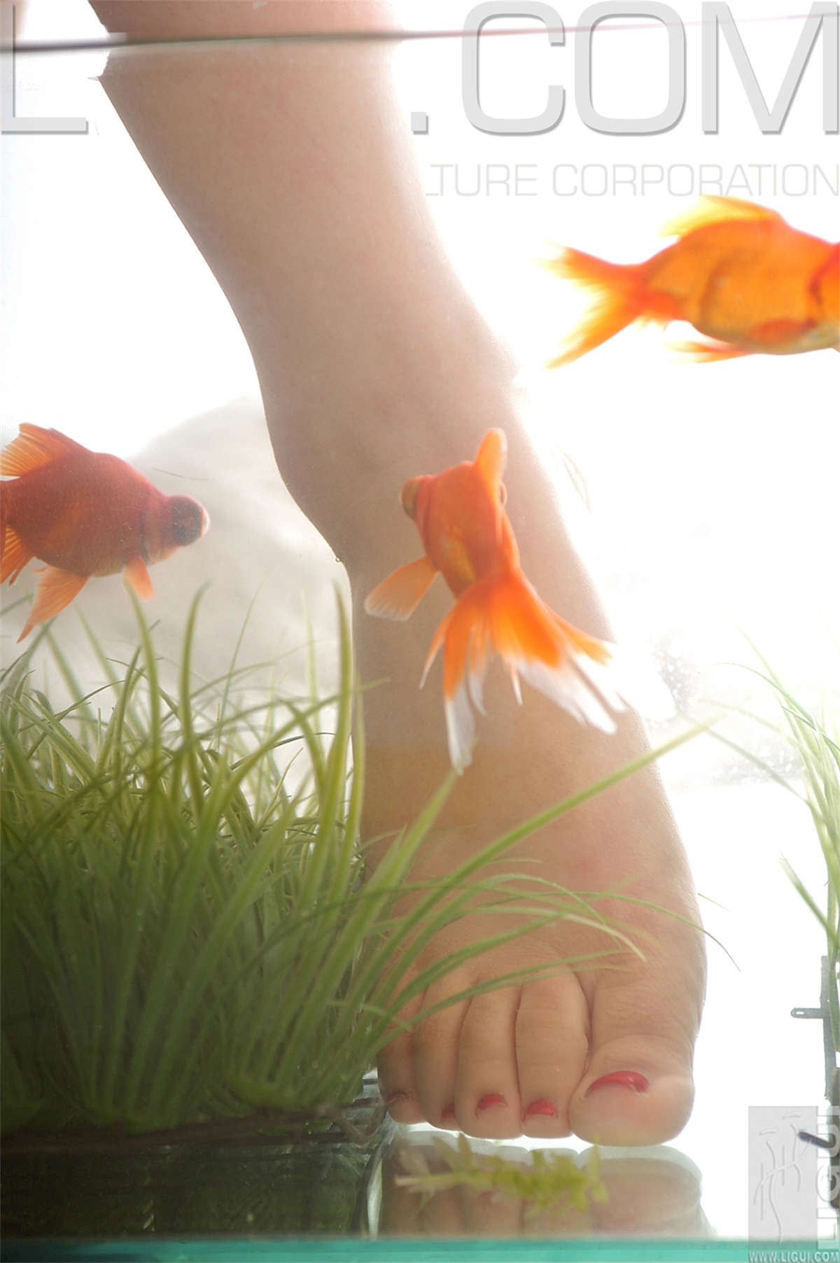 图片[2]-Ligui丽柜 2007-12-01 Kalulu-日更街拍