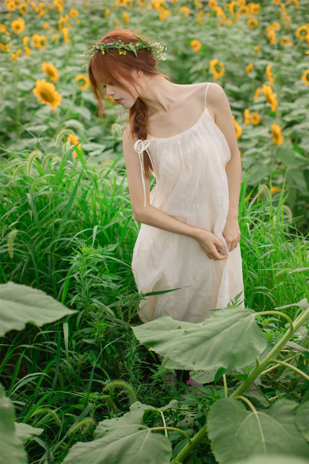 YITUYU艺图语 2023.09.08 向日葵的阴天 suo锁插图1