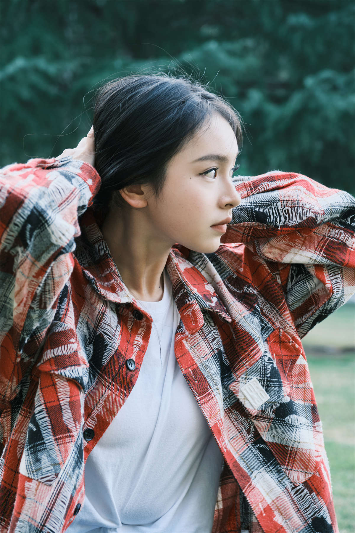 YITUYU艺图语 2025.01.10 公园游 树懒插图1