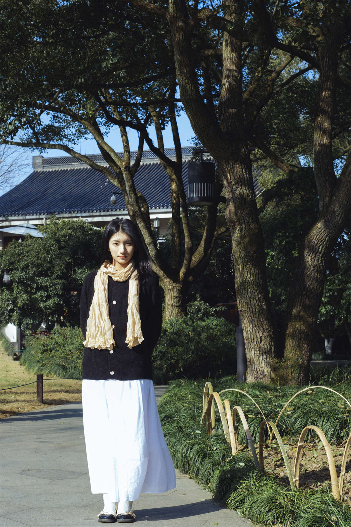 YITUYU艺图语 2024.08.06 春和景明 鲨鲨帅帅鱼插图1