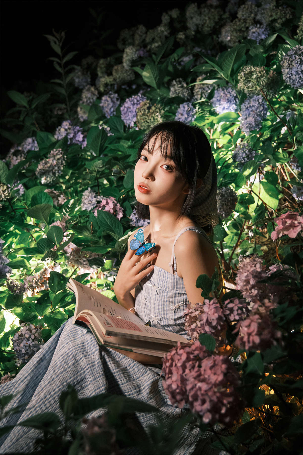 YITUYU艺图语 2024.08.06 夜拍绣球 久菜盒子插图1