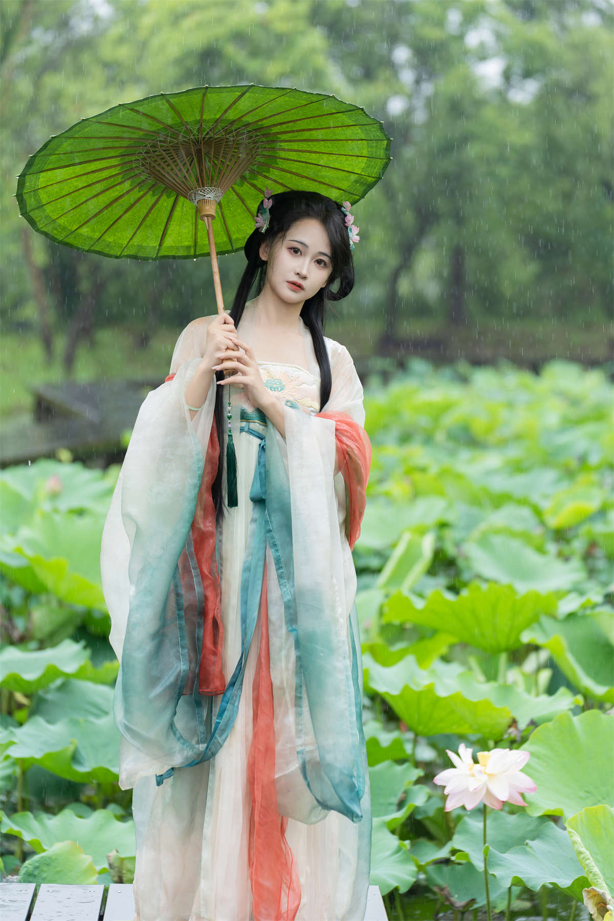 YITUYU艺图语 2024.08.16 雨中荷花 湫一只岁岁-日更街拍