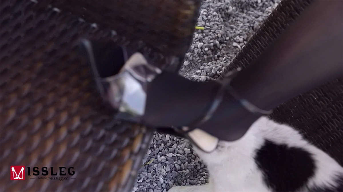 图片[2]-MISSLEG蜜丝 钻石版视频 VF002 黑色魅惑-日更街拍